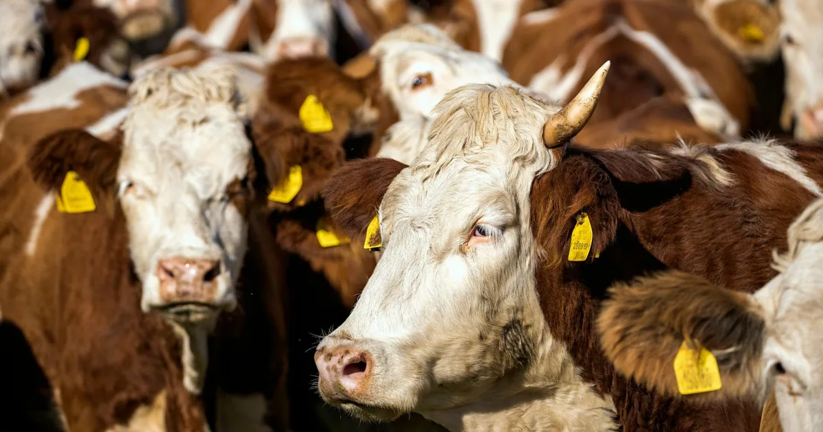 Downtown Ganado, AZ, AZ