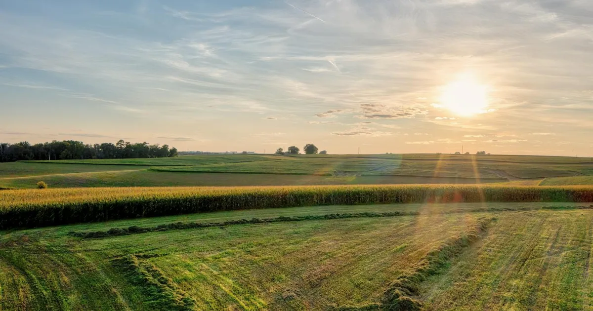 Downtown Garden Plain, IL, IL