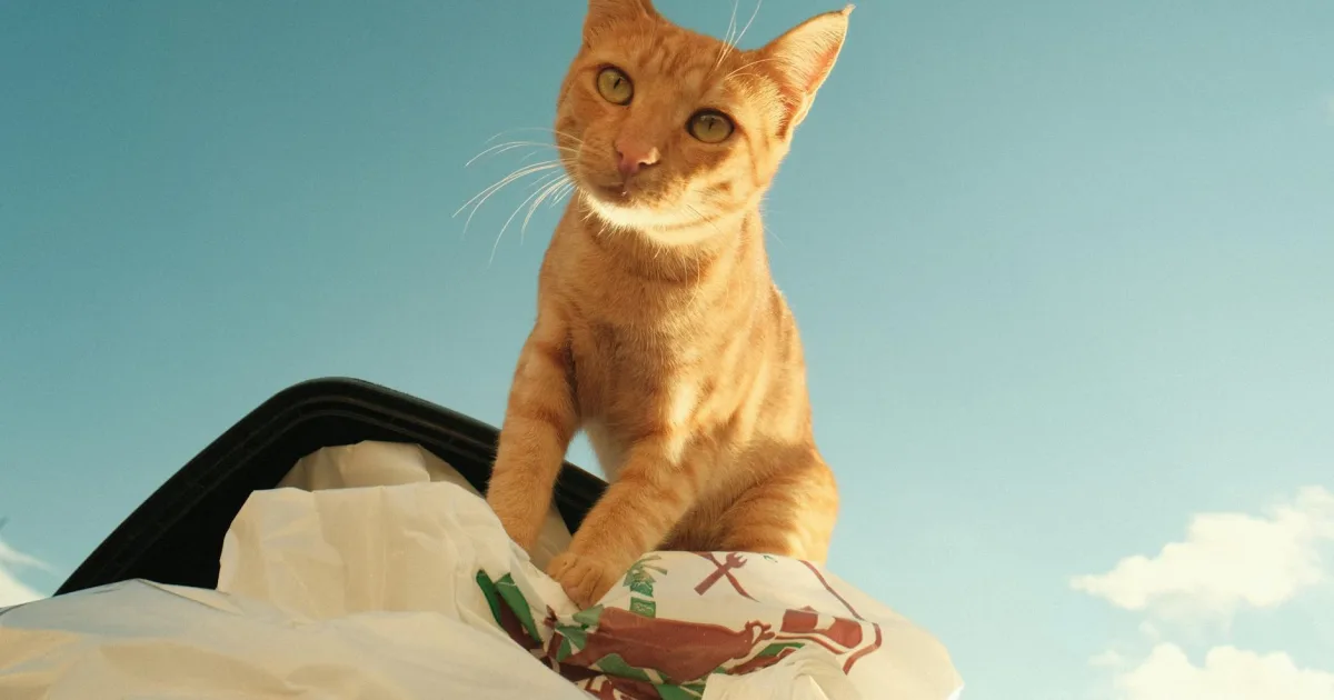 Downtown Garfield, IL, IL