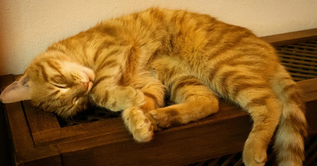 Downtown Garfield, WI, WI