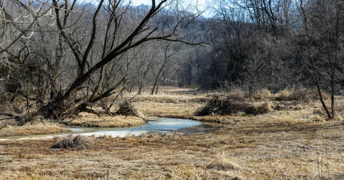 Downtown Gilbert Creek, WV, WV