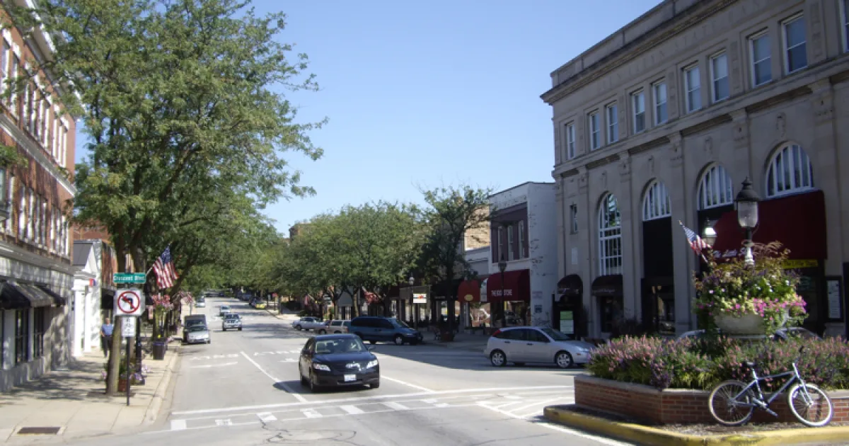 town in DuPage County, Illinois, USA