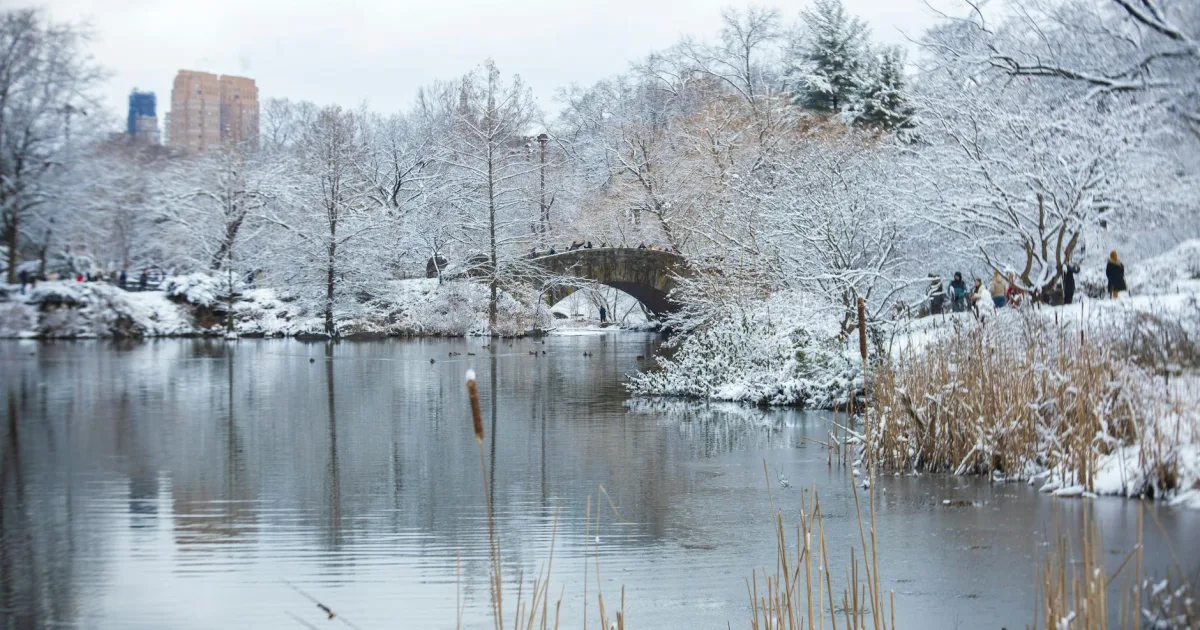 Downtown Glen Oaks, NY, NY