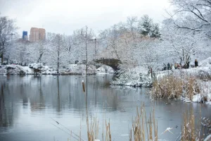 Downtown Glen Oaks, NY, NY