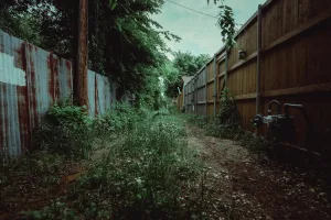 Downtown Glenn Heights, TX, TX