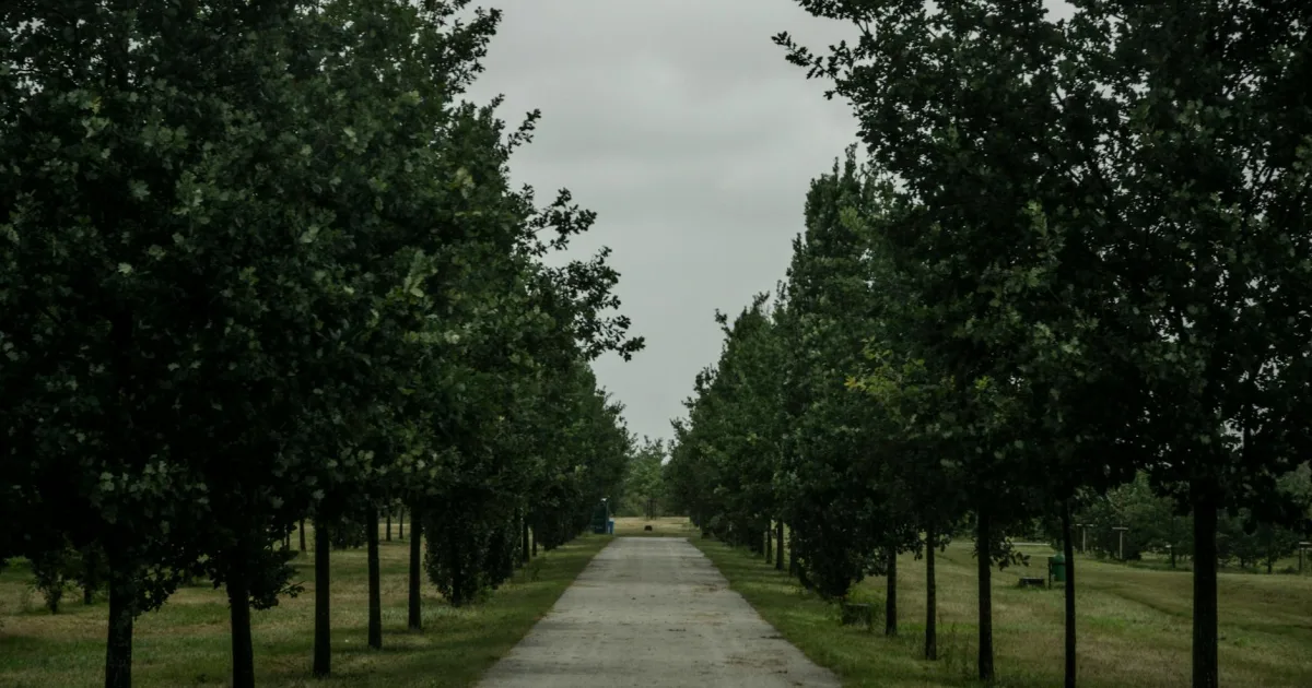 Downtown Glenoak, OK, OK