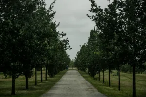 Downtown Glenoak, OK, OK