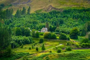 Downtown Glens Cottage Area, OH, OH