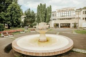 Downtown Goddard, KS, KS