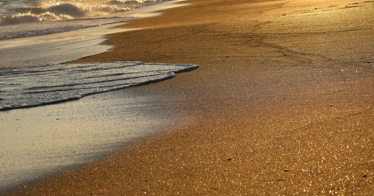 Downtown Golden Beach, MD, MD