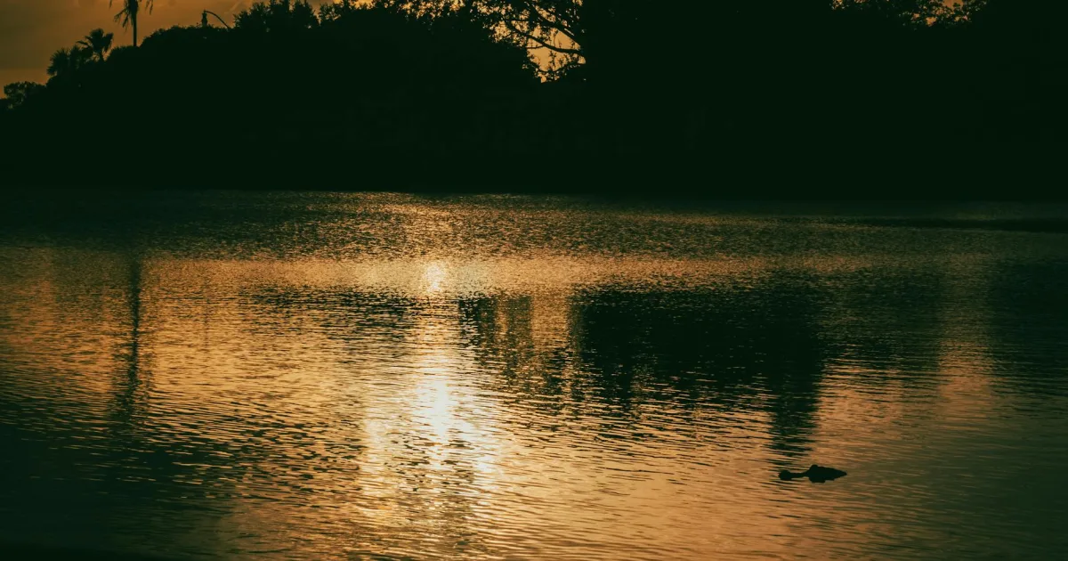 Downtown Golden Glades, FL, FL