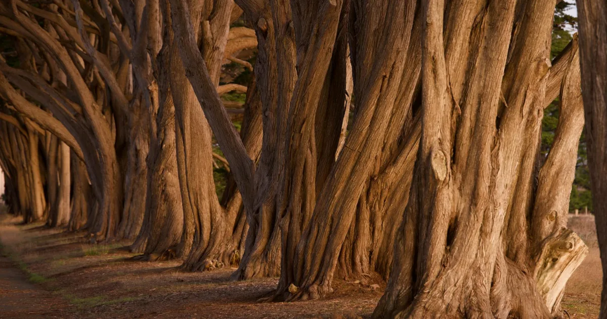 Downtown Golden Grove, SC, SC