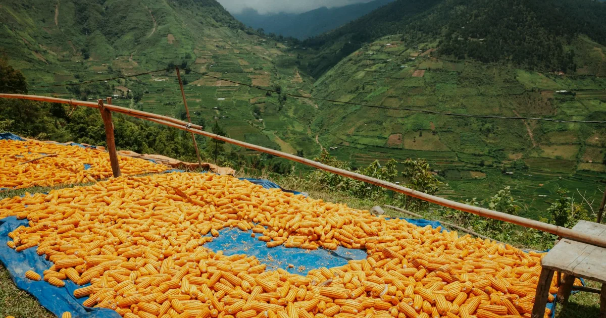 Downtown Grain Valley, MO, MO