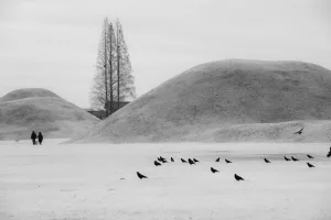 Downtown Grand Mound, IA, IA