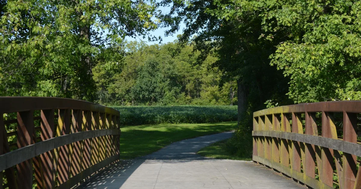 Downtown Grandwood Park, IL, IL