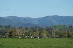 Downtown Grangeville, ID, ID