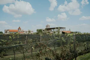 Downtown Grapeland, TX, TX