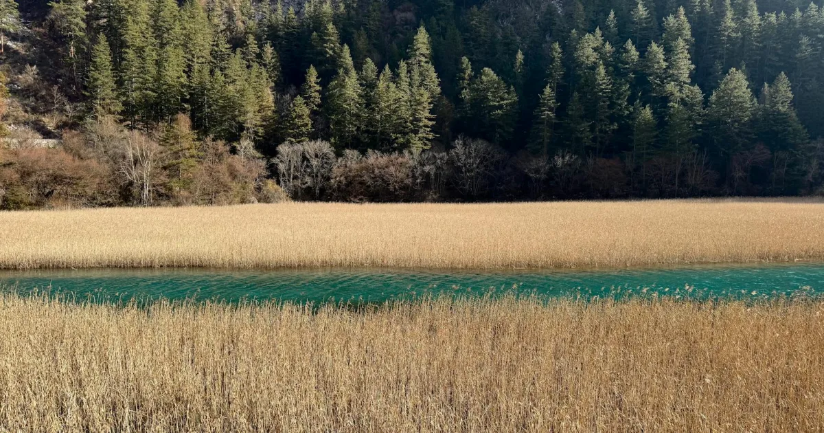 Downtown Grass Lake, MI, MI