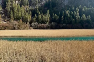 Downtown Grass Lake, MI, MI