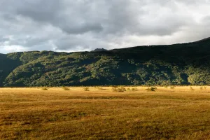 Downtown Grass Range, MT, MT
