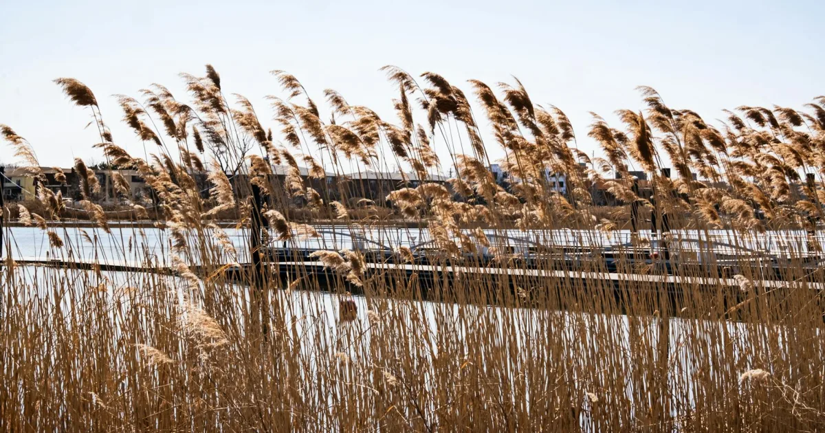 Downtown Grassy Sound, NJ, NJ