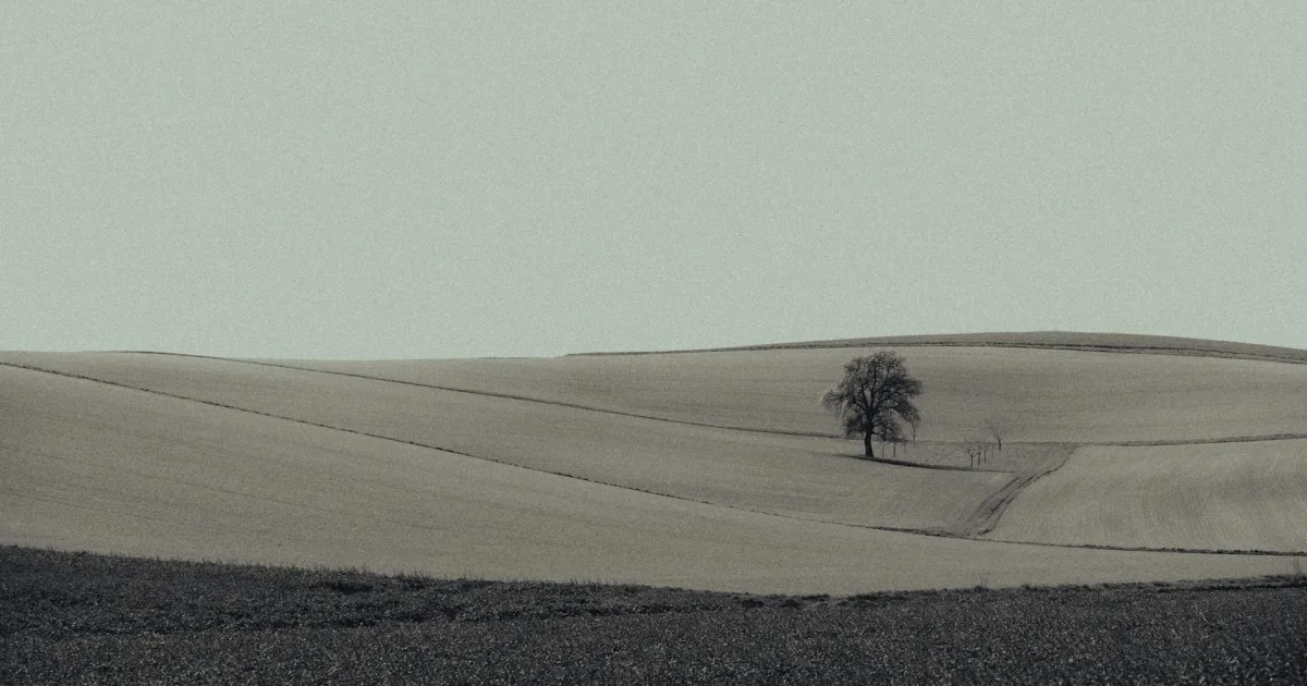 Downtown Grayland, WA, WA