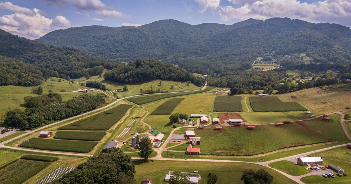 Downtown Grayson Valley, AL, AL