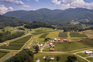 Downtown Grayson Valley, AL, AL