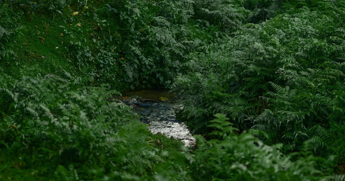 Downtown Green Creek, OH, OH