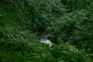 Downtown Green Creek, OH, OH