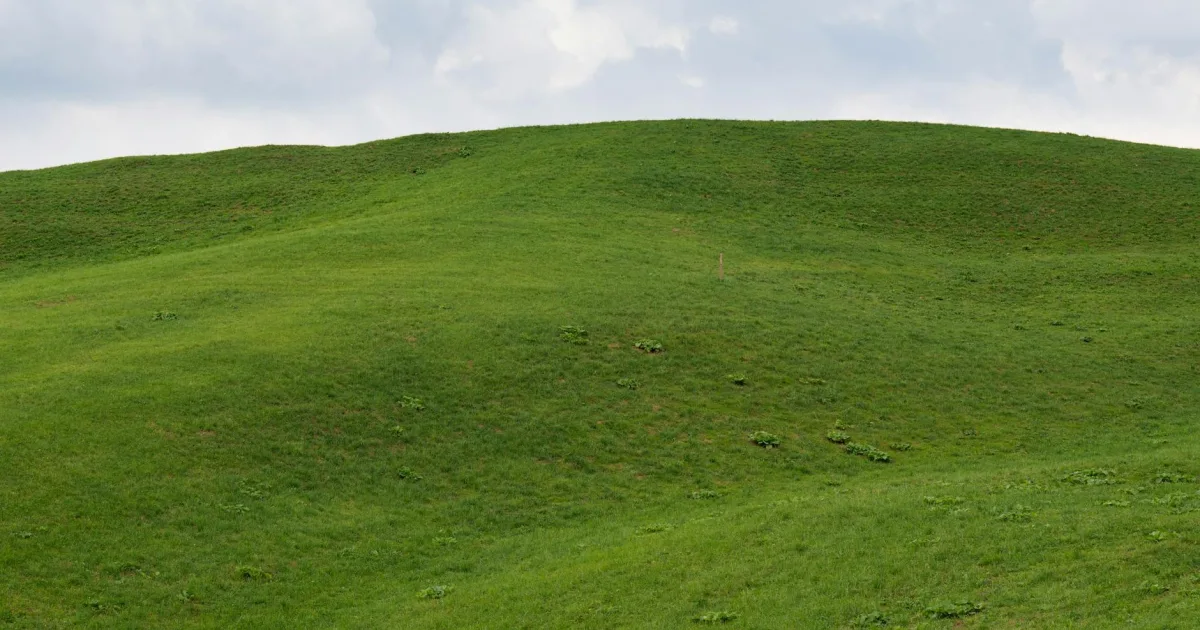 Downtown Green Hill, TN, TN