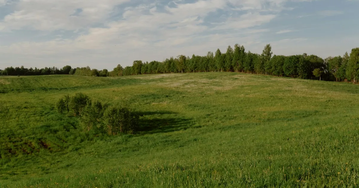 Downtown Green Meadows, OH, OH