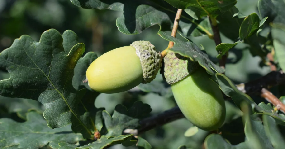 Downtown Green Oak, MI, MI