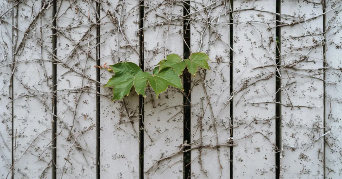 Downtown Greenbriar, VA, VA