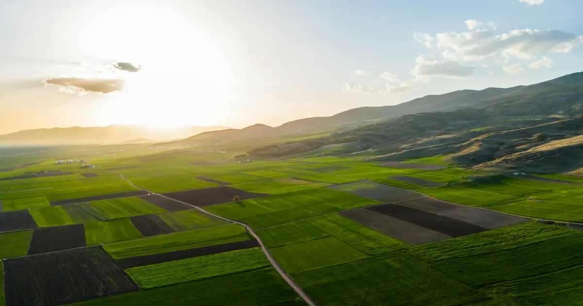 Downtown Greenfield, MO, MO