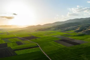 Downtown Greenfield, MO, MO