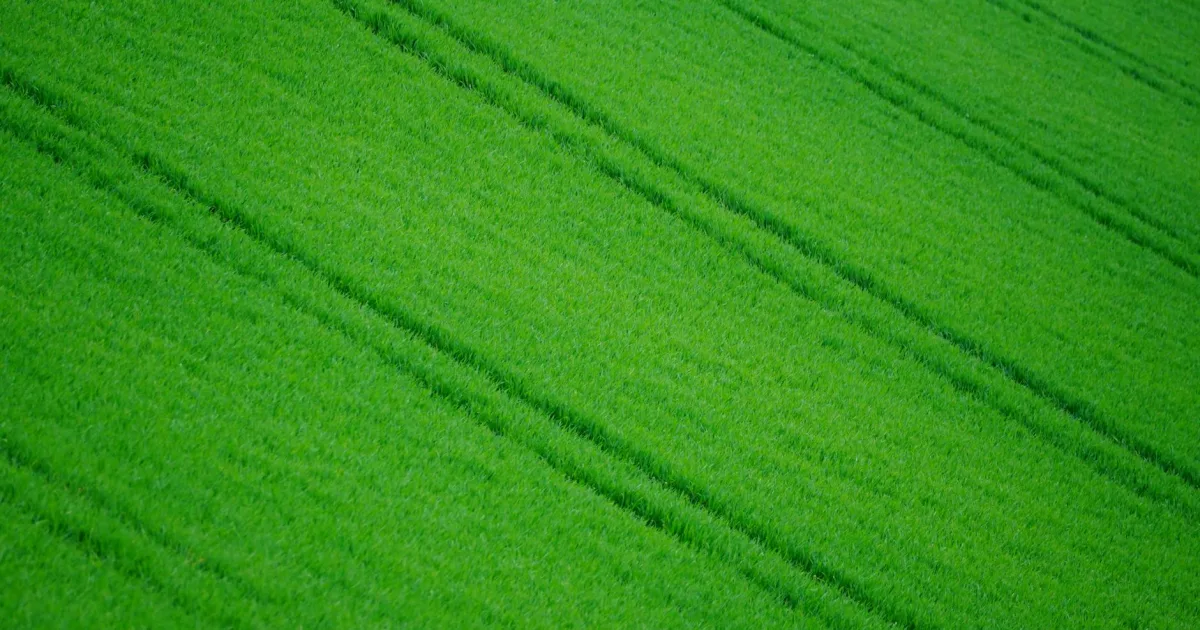 Downtown Greenfield, OH, OH