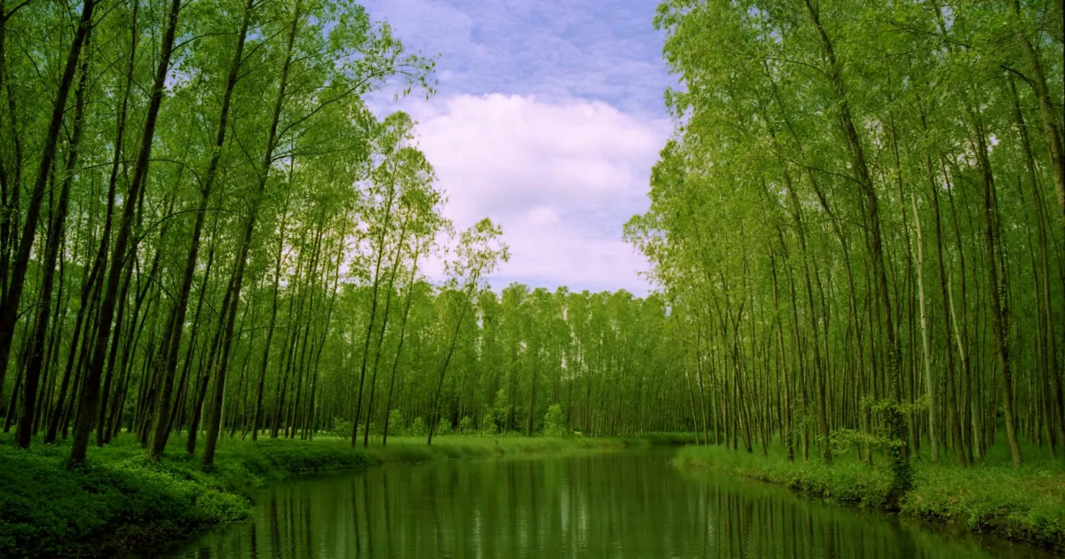 Downtown Greentown, IN, IN