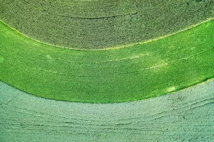 Downtown Greenville, WI, WI