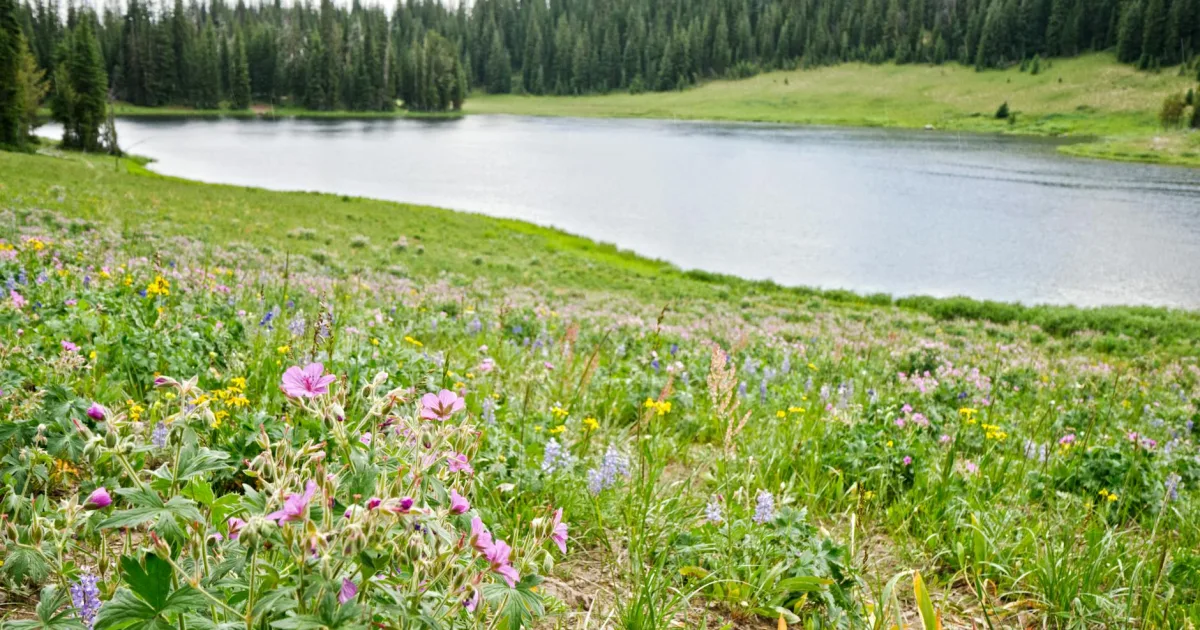 Downtown Guernsey, WY, WY