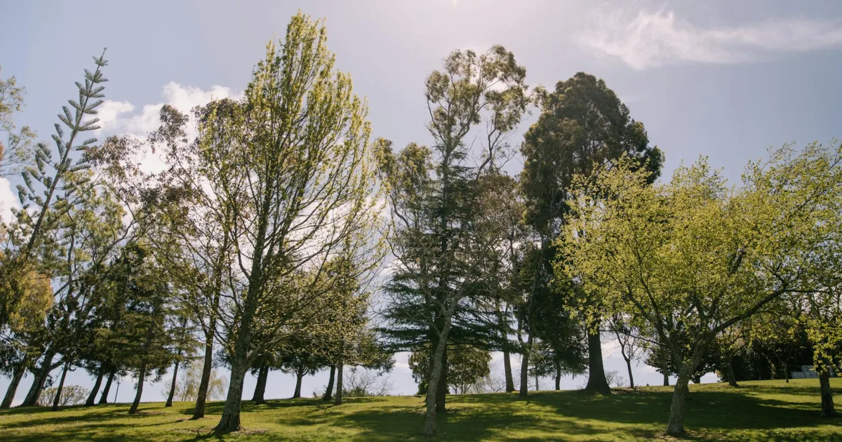 Downtown Hamilton, IN, IN