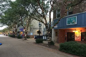 independent city in Virginia, United States