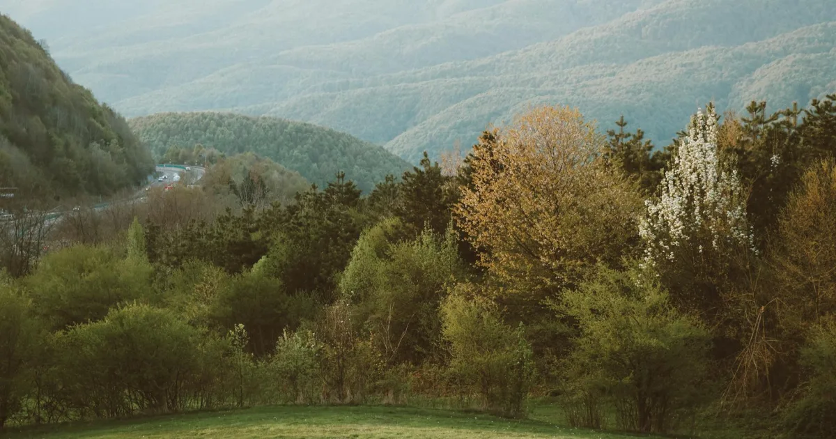 Downtown Harman, WV, WV