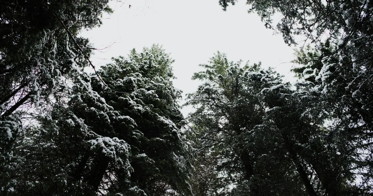 Downtown Hartsgrove, OH, OH