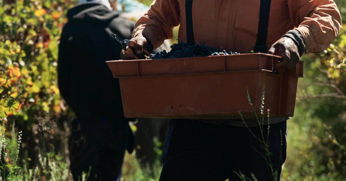 Downtown Harvest, AL, AL