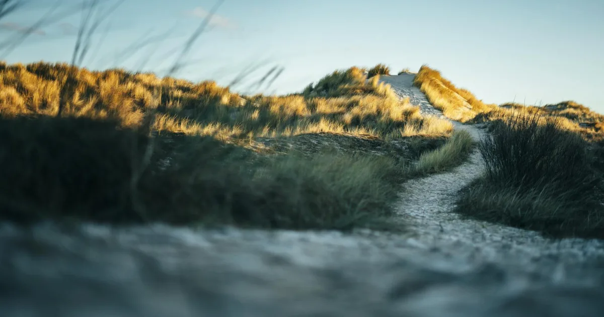 Downtown Harwood, ND, ND