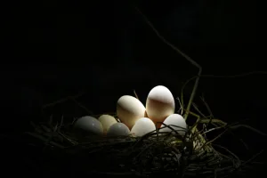 Downtown Hatch, NM, NM