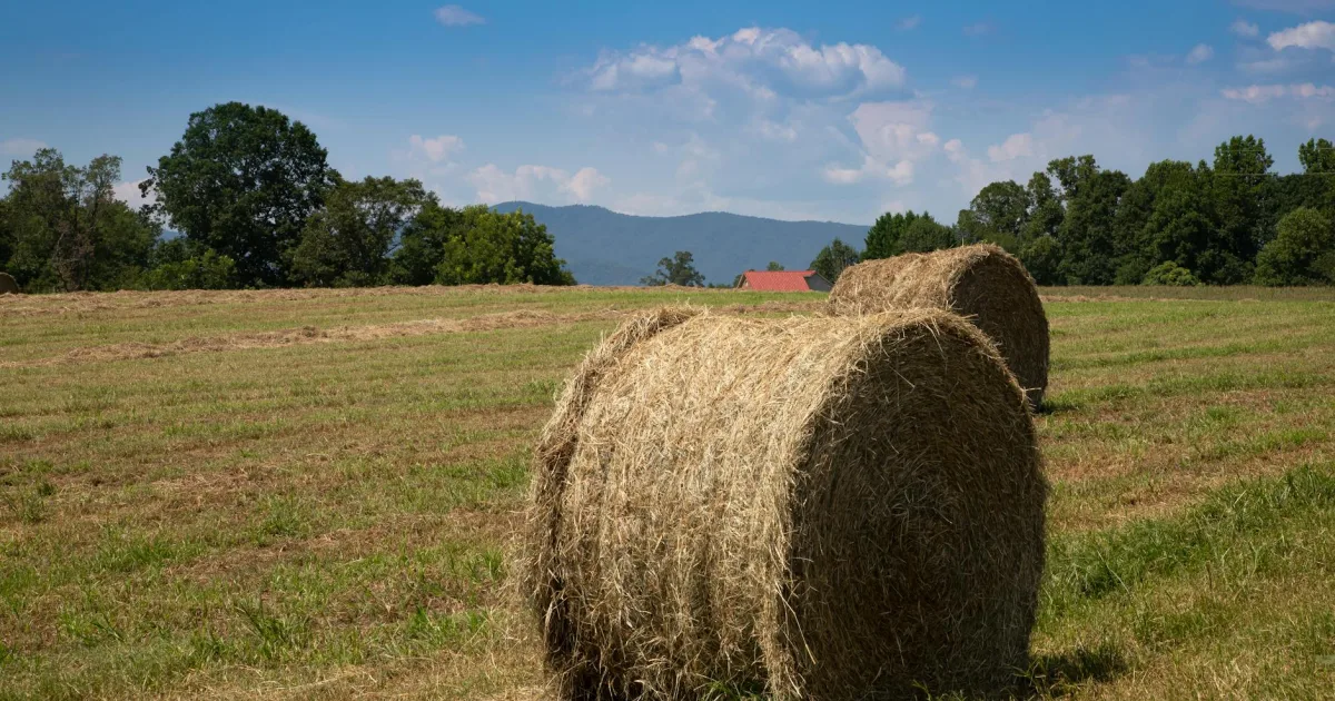Downtown Hayfield, VA, VA