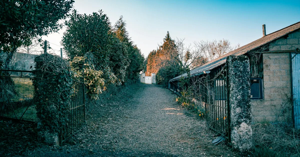 Downtown Hedgeland Landing, LA, LA