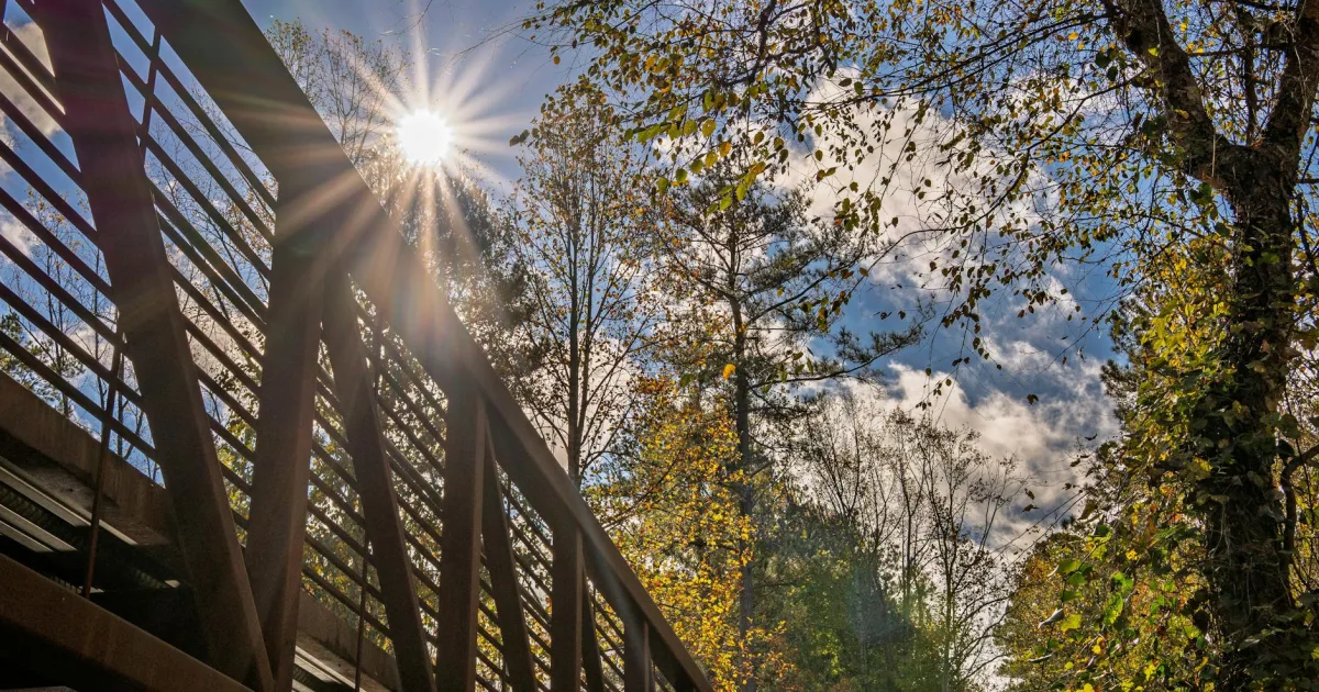 Downtown Hemby Bridge, NC, NC